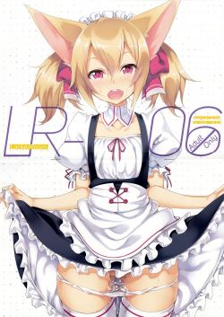 LR-06-1