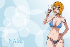 Kawaiihentai.com - One Piece Nami hentai (48)