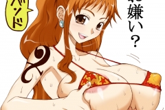 Kawaiihentai.com - One Piece Nami hentai (74)